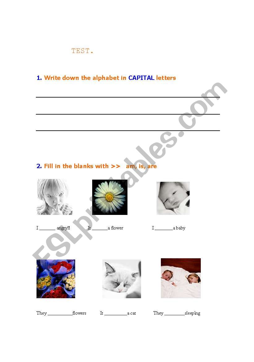 Elementary test worksheet