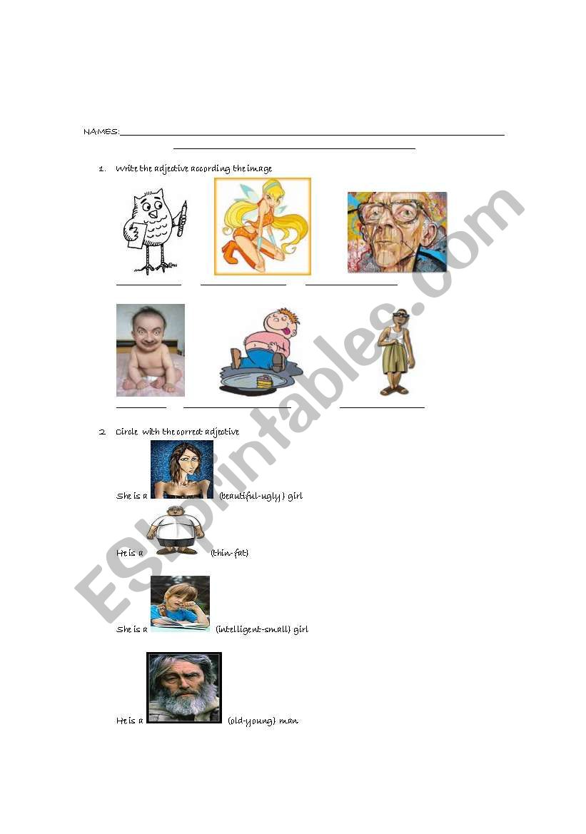 Adjectives worksheet