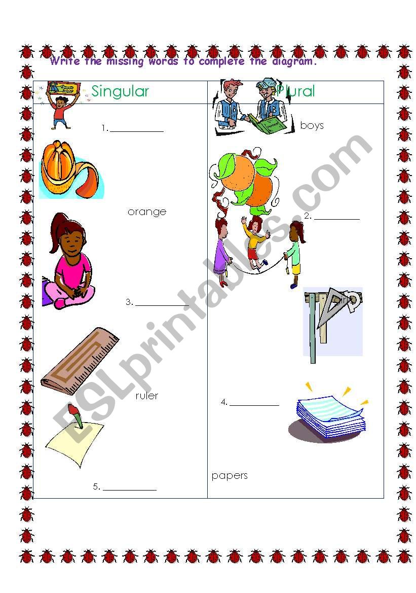 Singular and Plural Noun worksheet