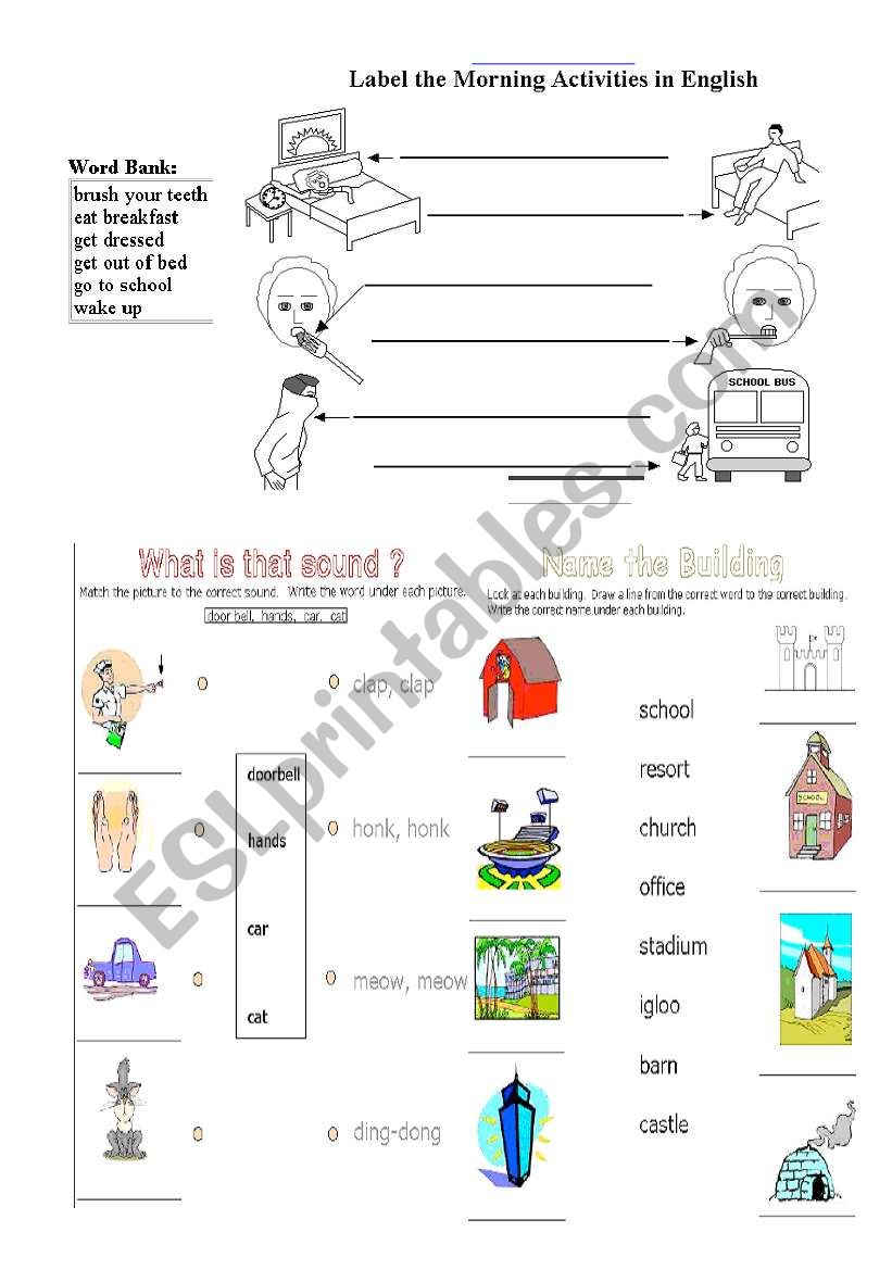 vocabulary, routine, sounds  and name of buildings