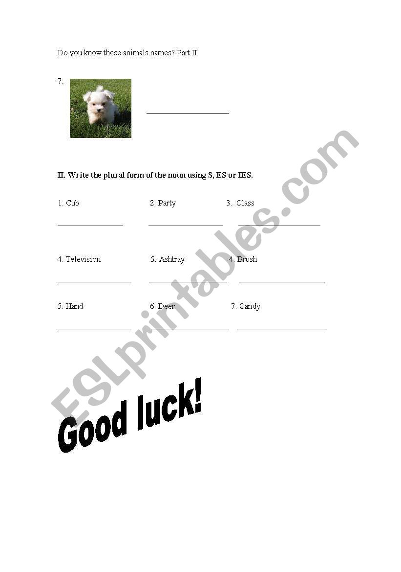 Plural nouns an animals worksheet