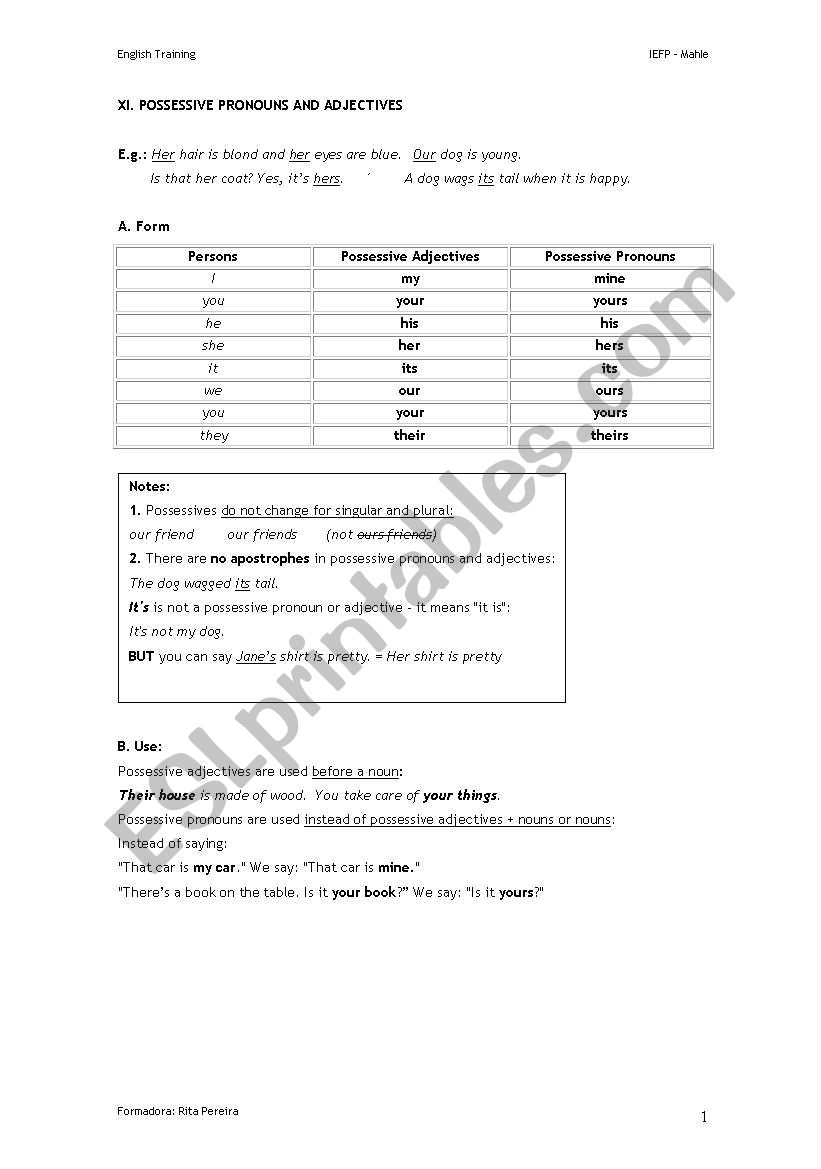 Possessive pronouns and adjectives