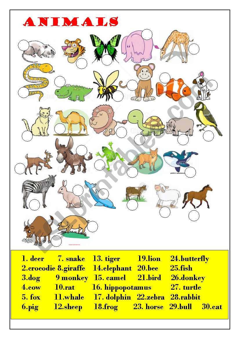 wildlife animals - ESL worksheet by hi_vipa
