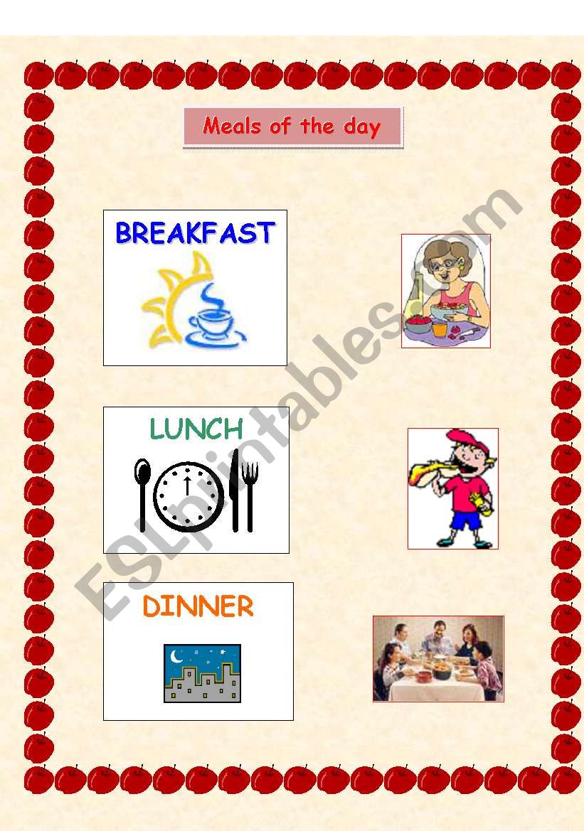 English Worksheets 3 Meals A Day