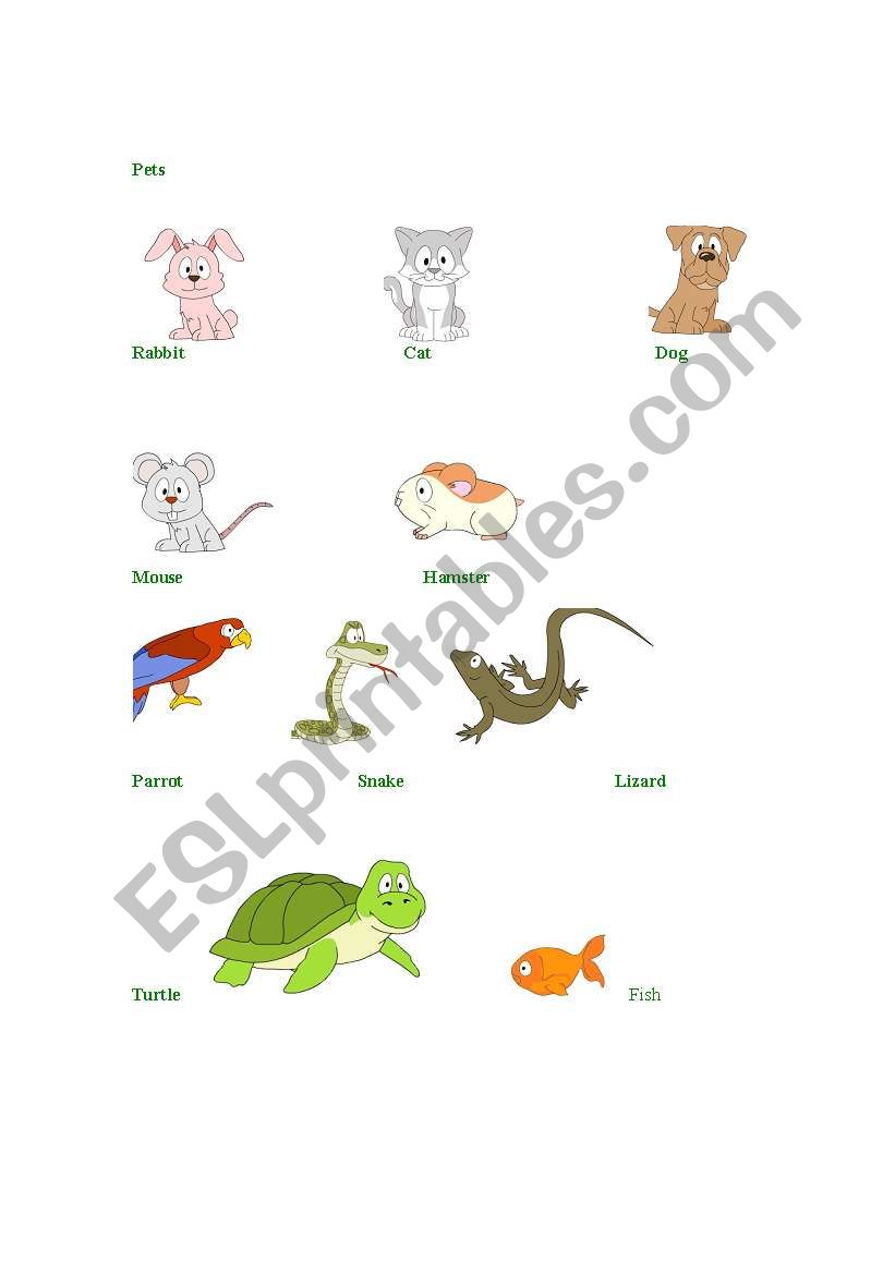 PETS worksheet