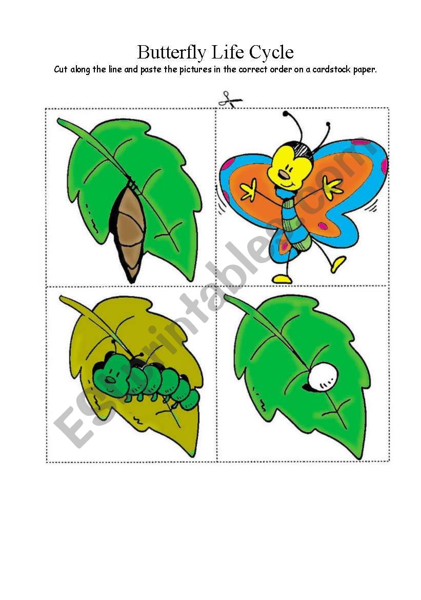 Butterfly Life Cycle ESL Worksheet By Katala