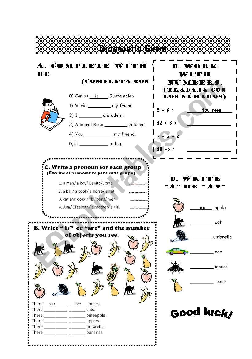 Diagnostic exam for elementary students