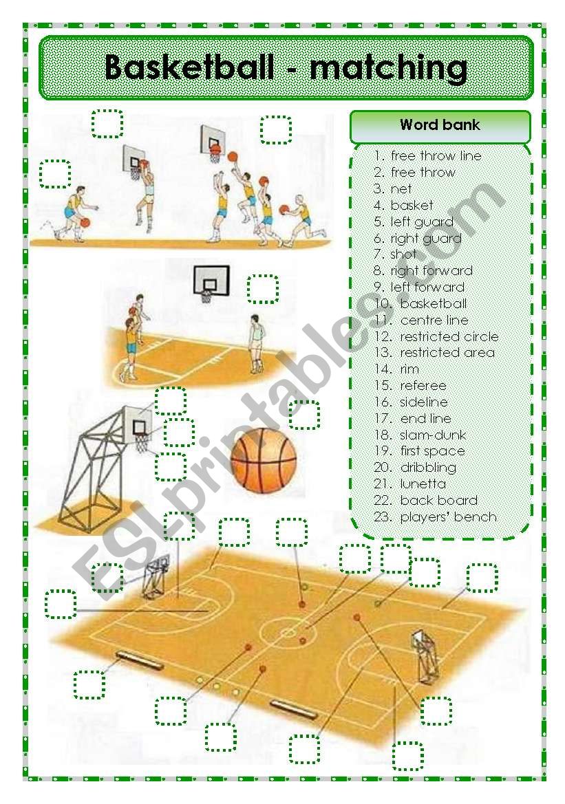 physical education basketball worksheets