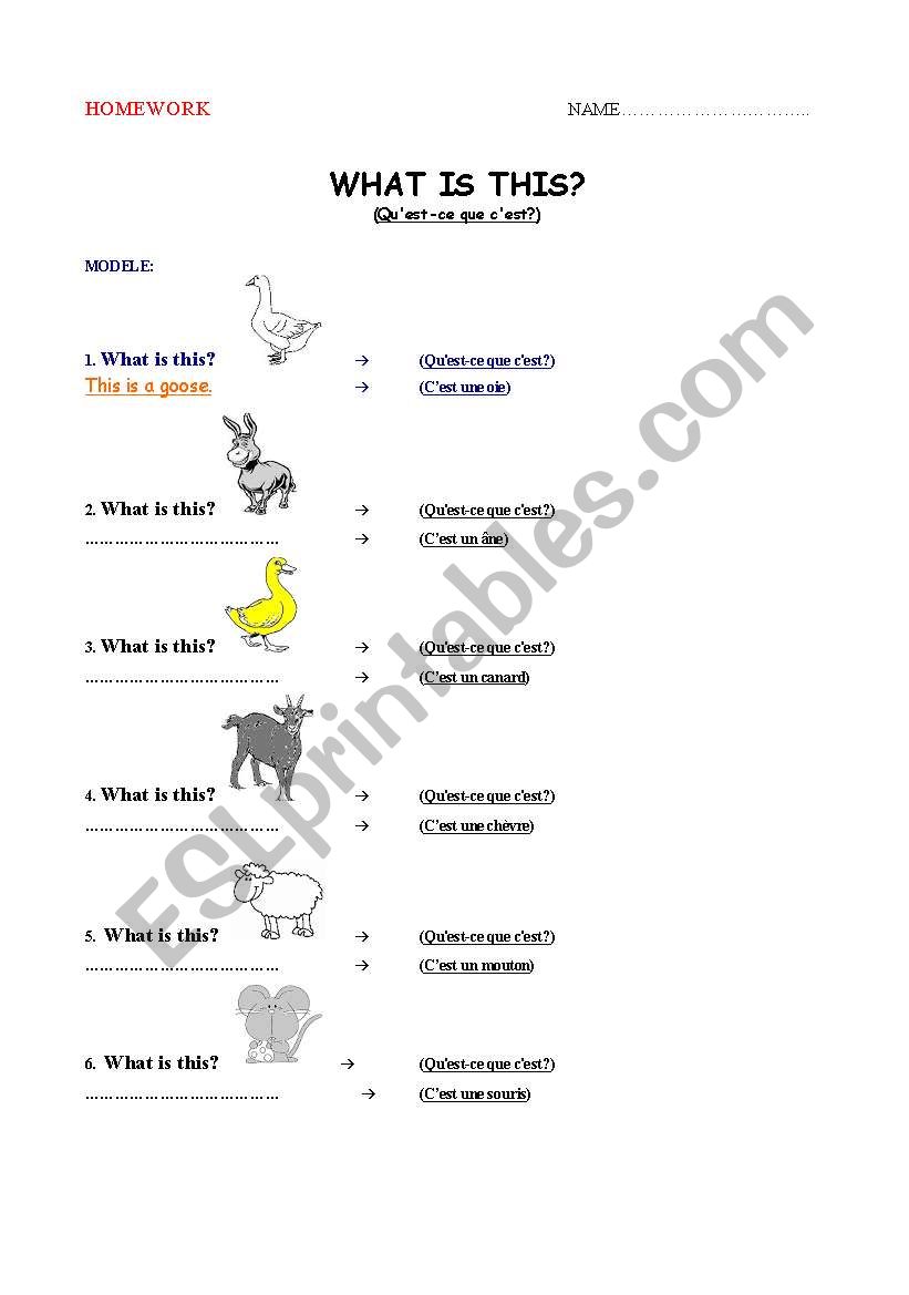 English worksheets: HOMEWORK - FARM ANIMALS