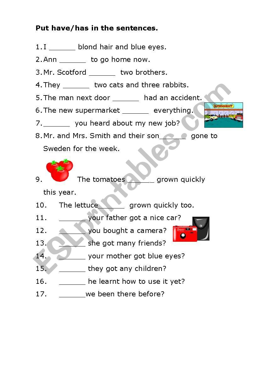 verb to have worksheet