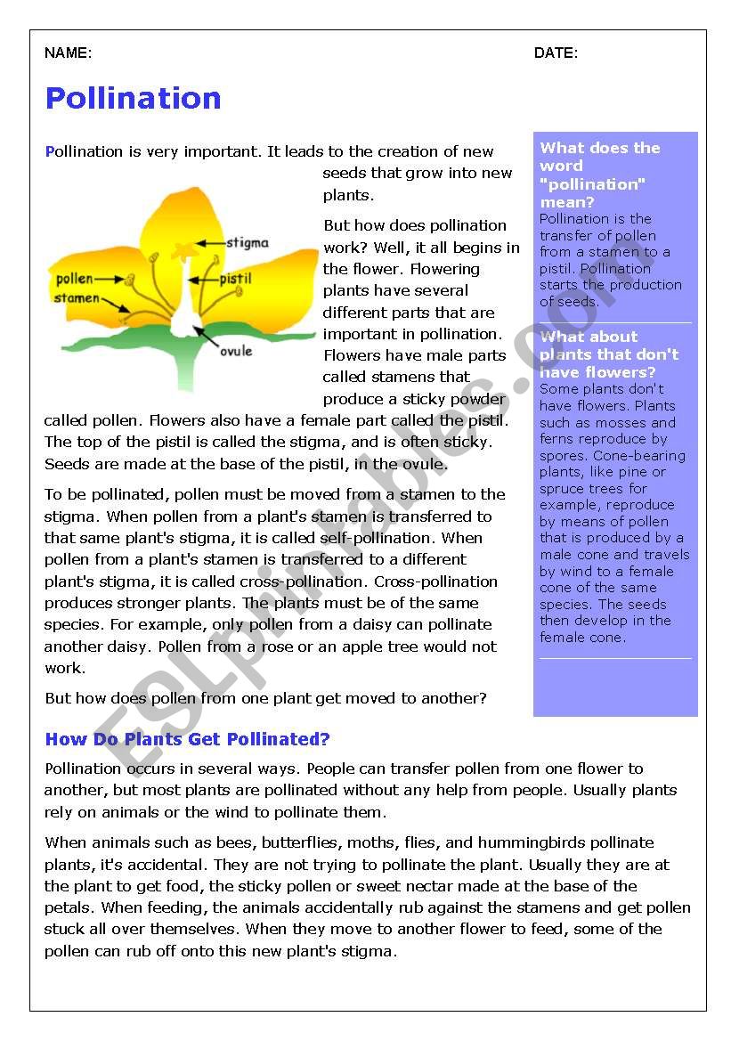 Plants- pollination comprehension activity