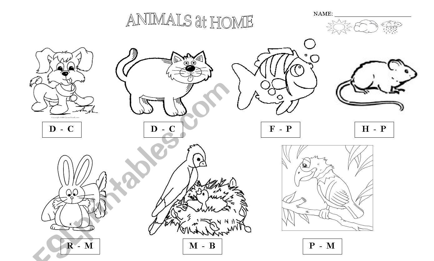 animals - Pets worksheet