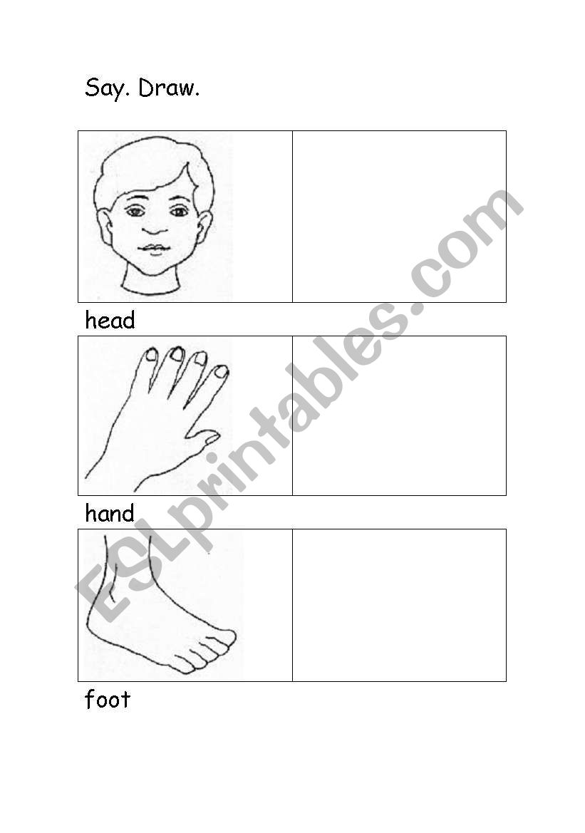 body parts worksheet