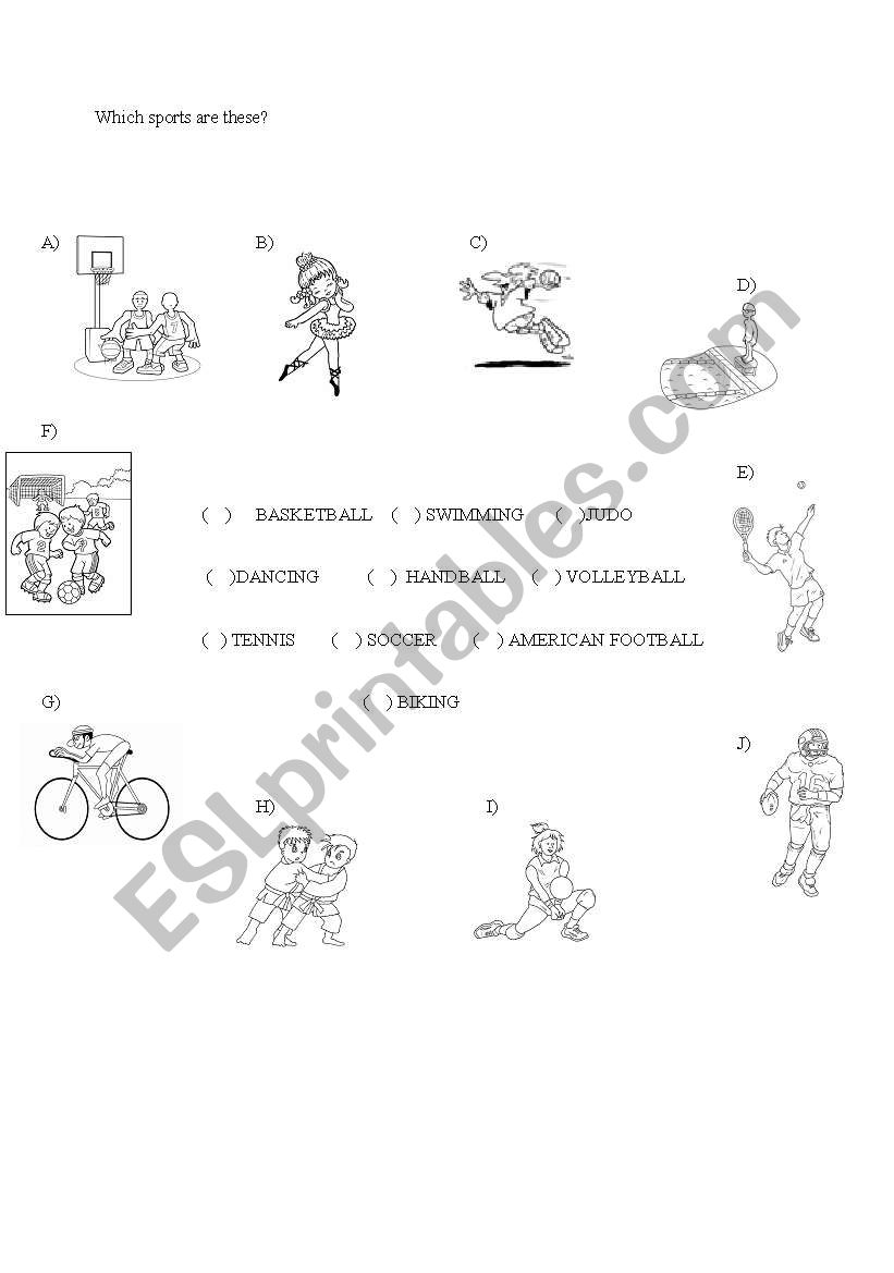 Sports worksheet