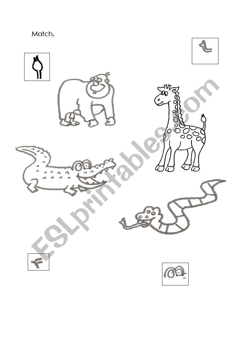 Animals match. worksheet