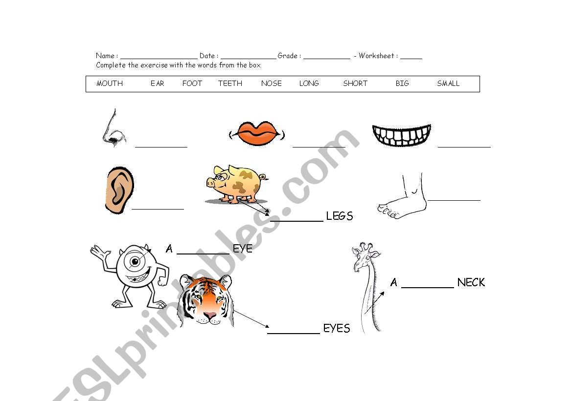 parts of the body with adjectives