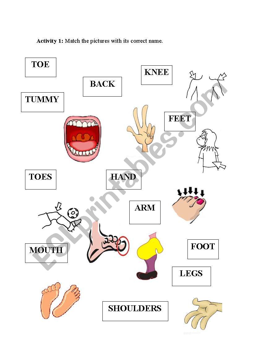 Matching worksheet