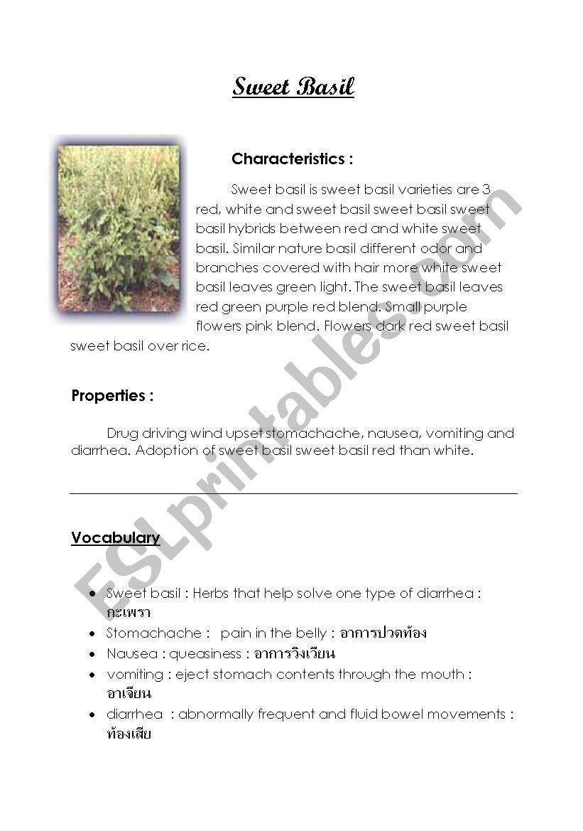 Herbs worksheet