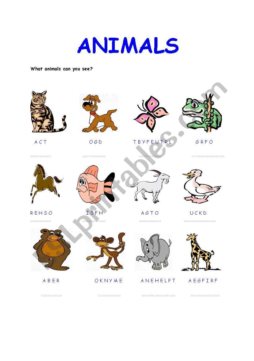 animals worksheet