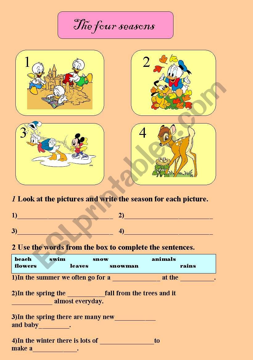 4 seasons worksheet