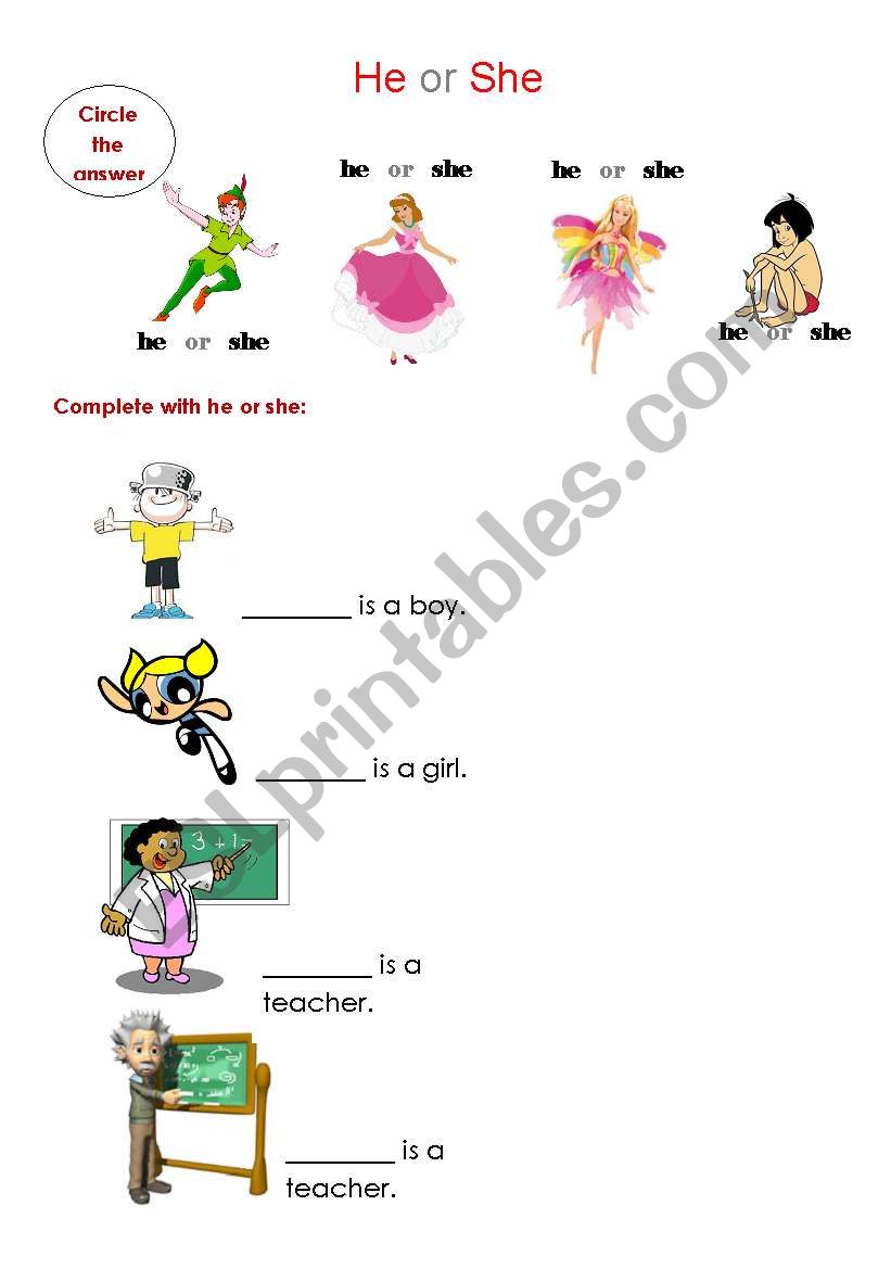 he or she worksheet