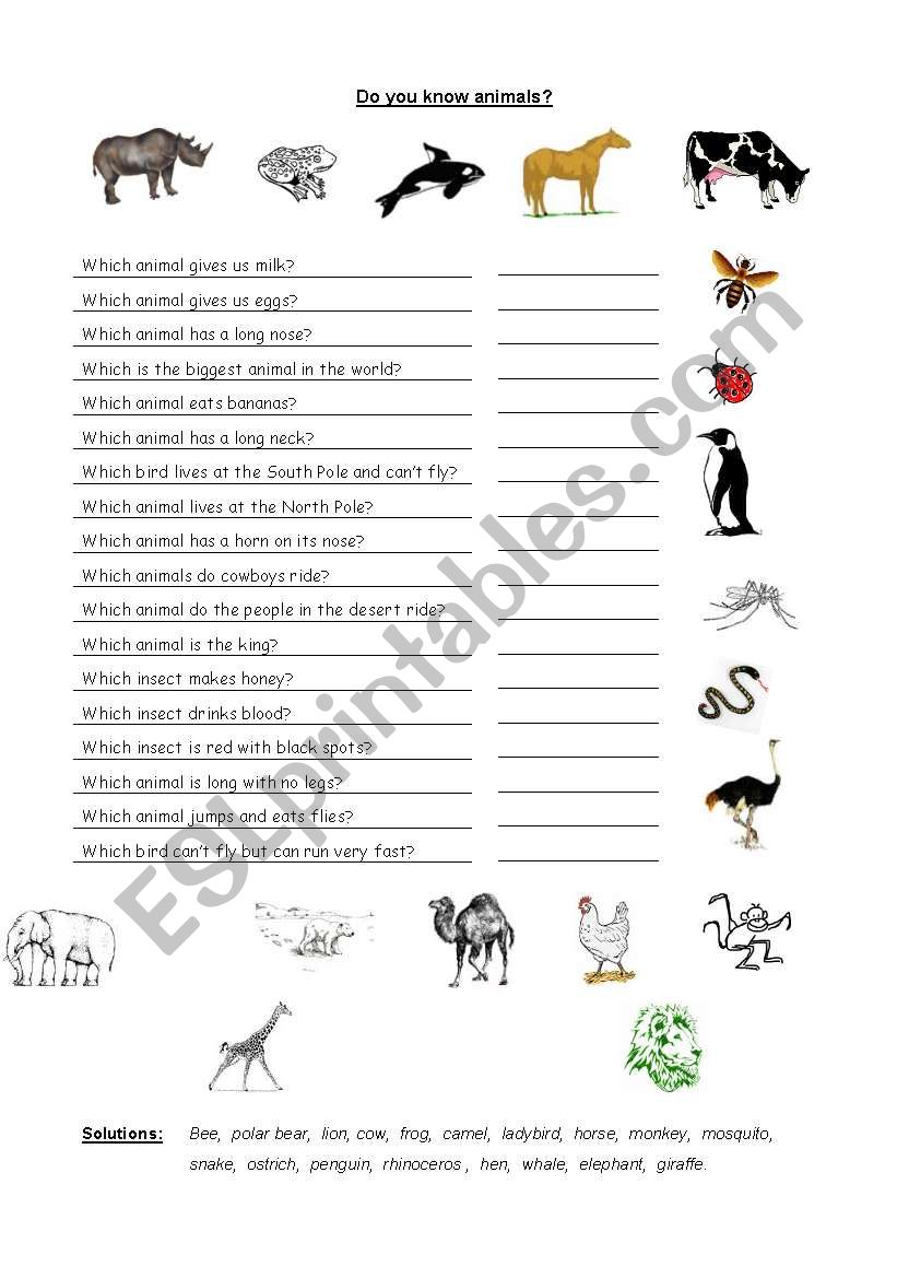 Do you know animals? - ESL worksheet by tinilein