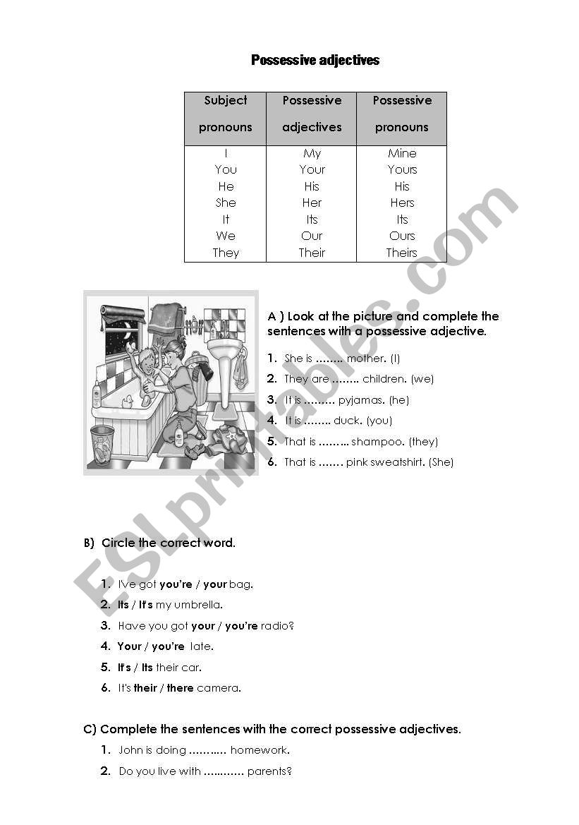 Possessive adjectives worksheet