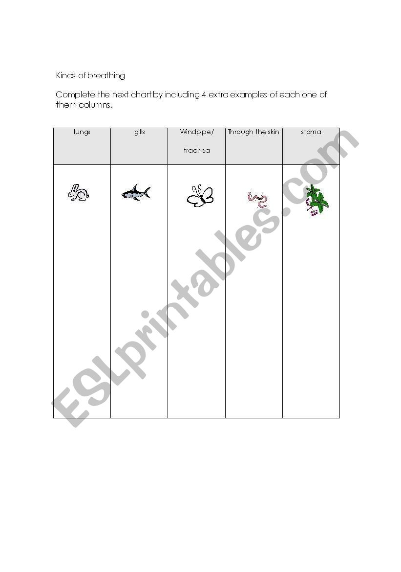 KINDS OF BREATHING CHART worksheet