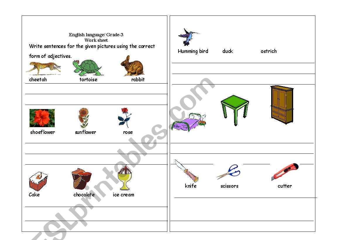 Adjectives worksheet