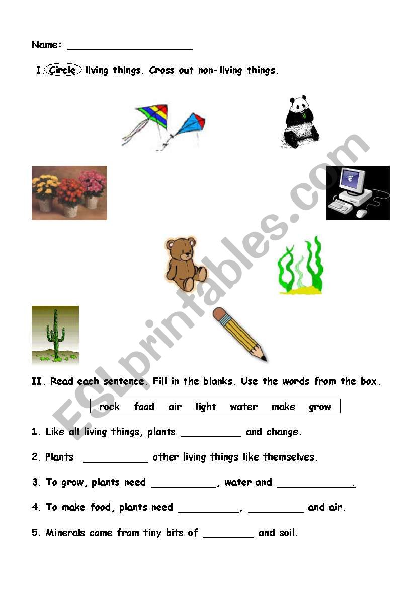 living and non living thing worksheet