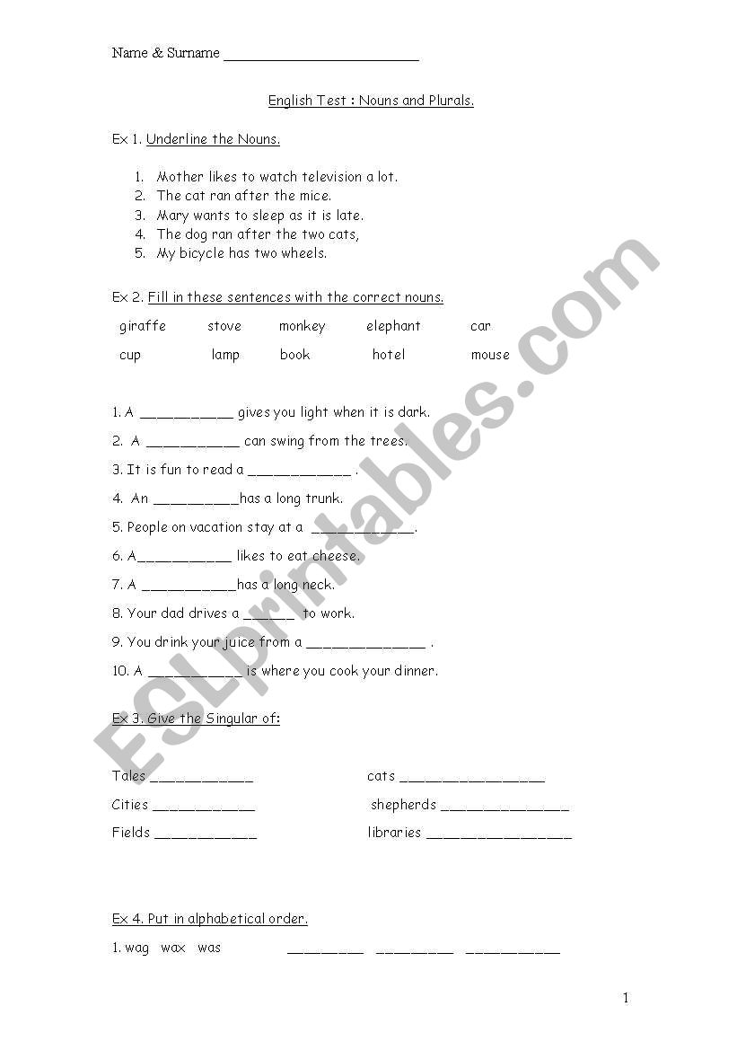 An English test on Nouns. worksheet