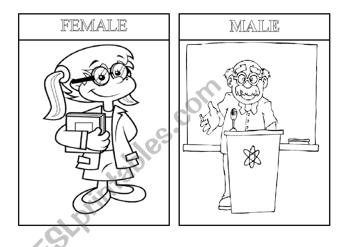 male and female worksheet
