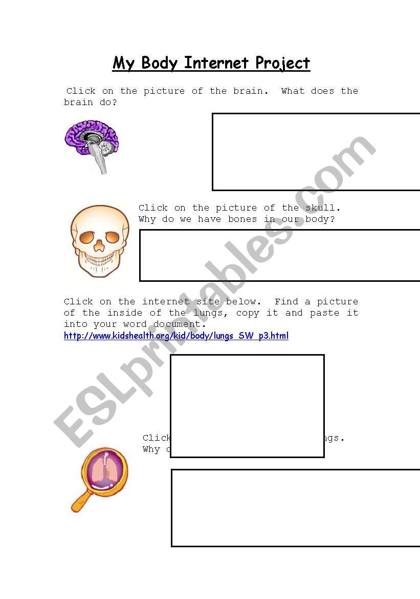 My body internet project worksheet