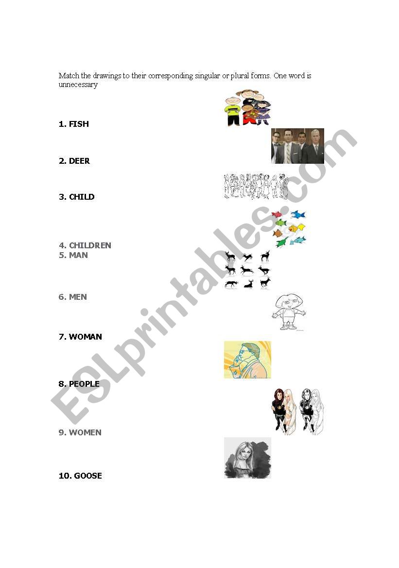 Singular and plural forms worksheet