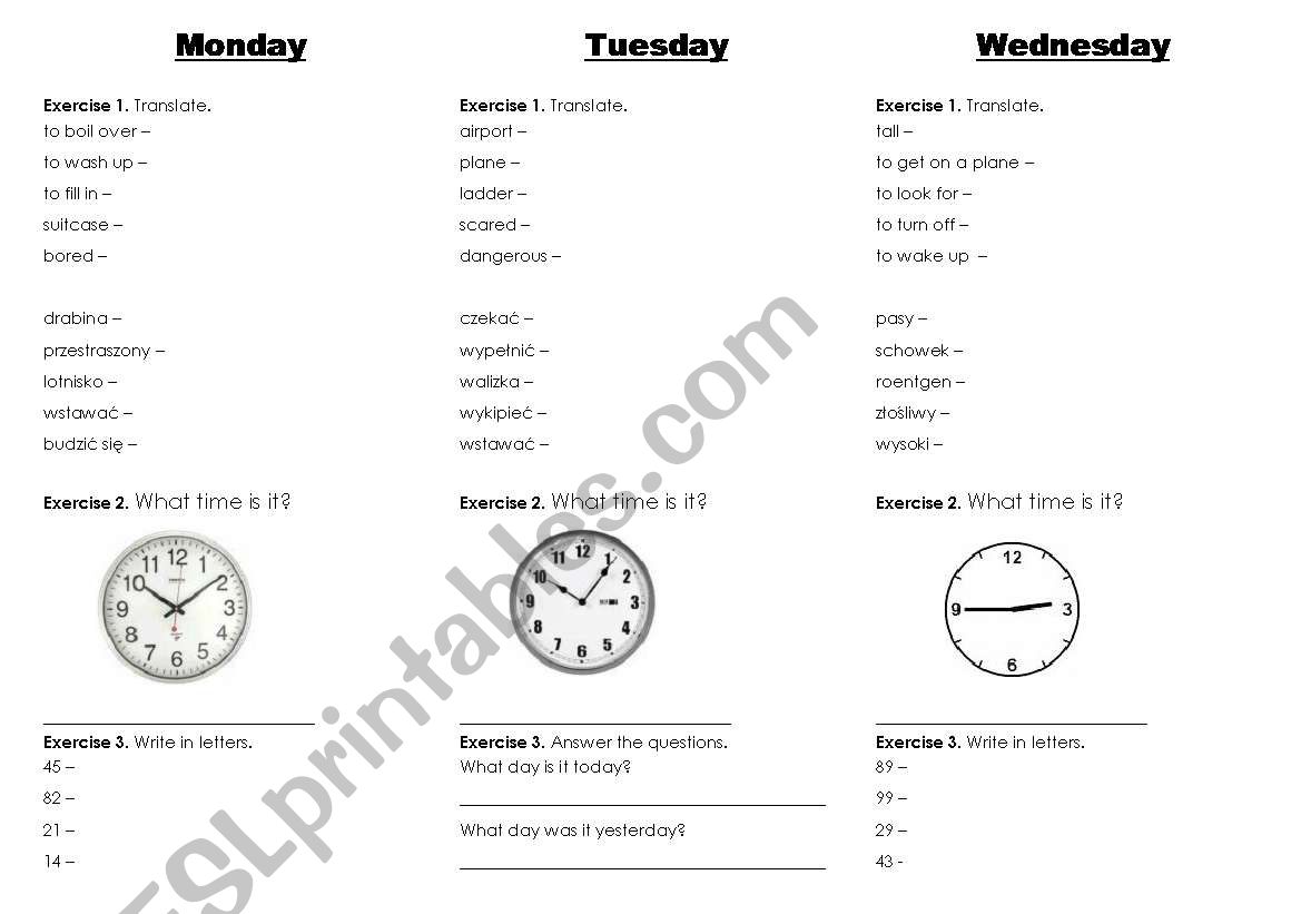 Everyday revision  worksheet