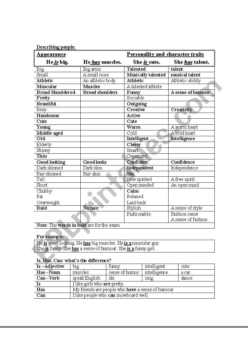 Vocabulary and relative clauses