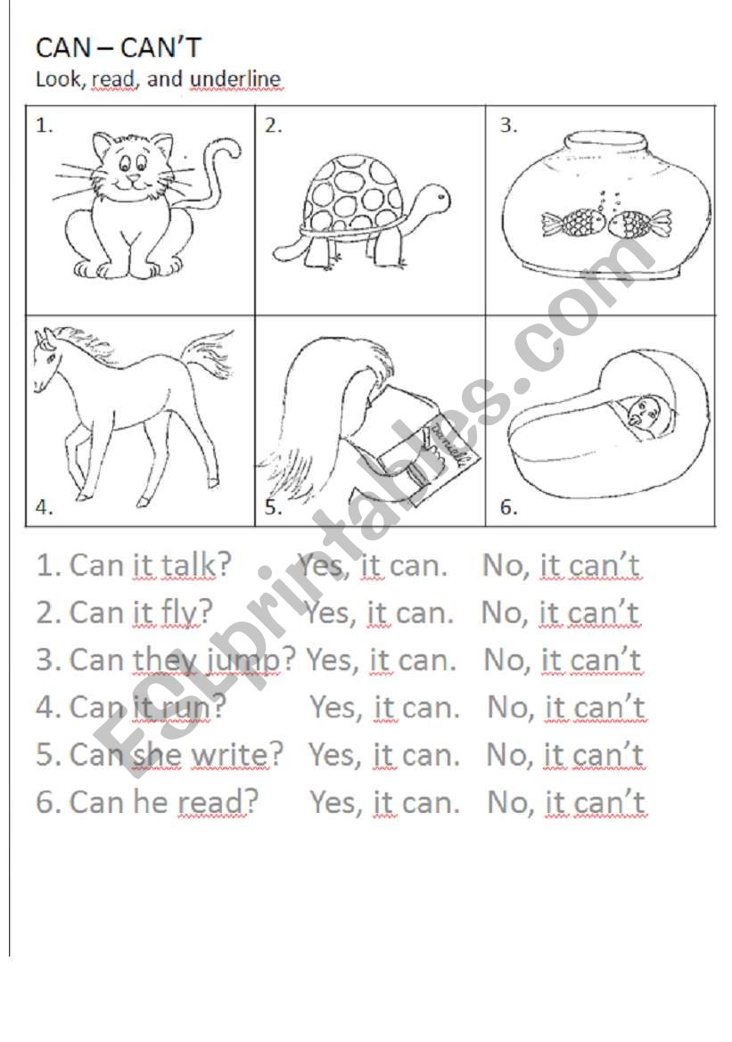 CAN CANT EXERCISES worksheet