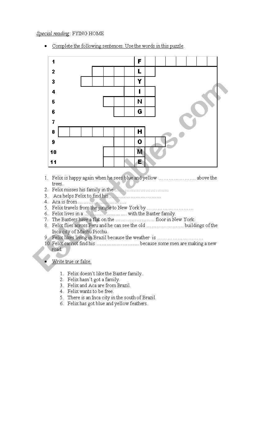 flying home worksheet