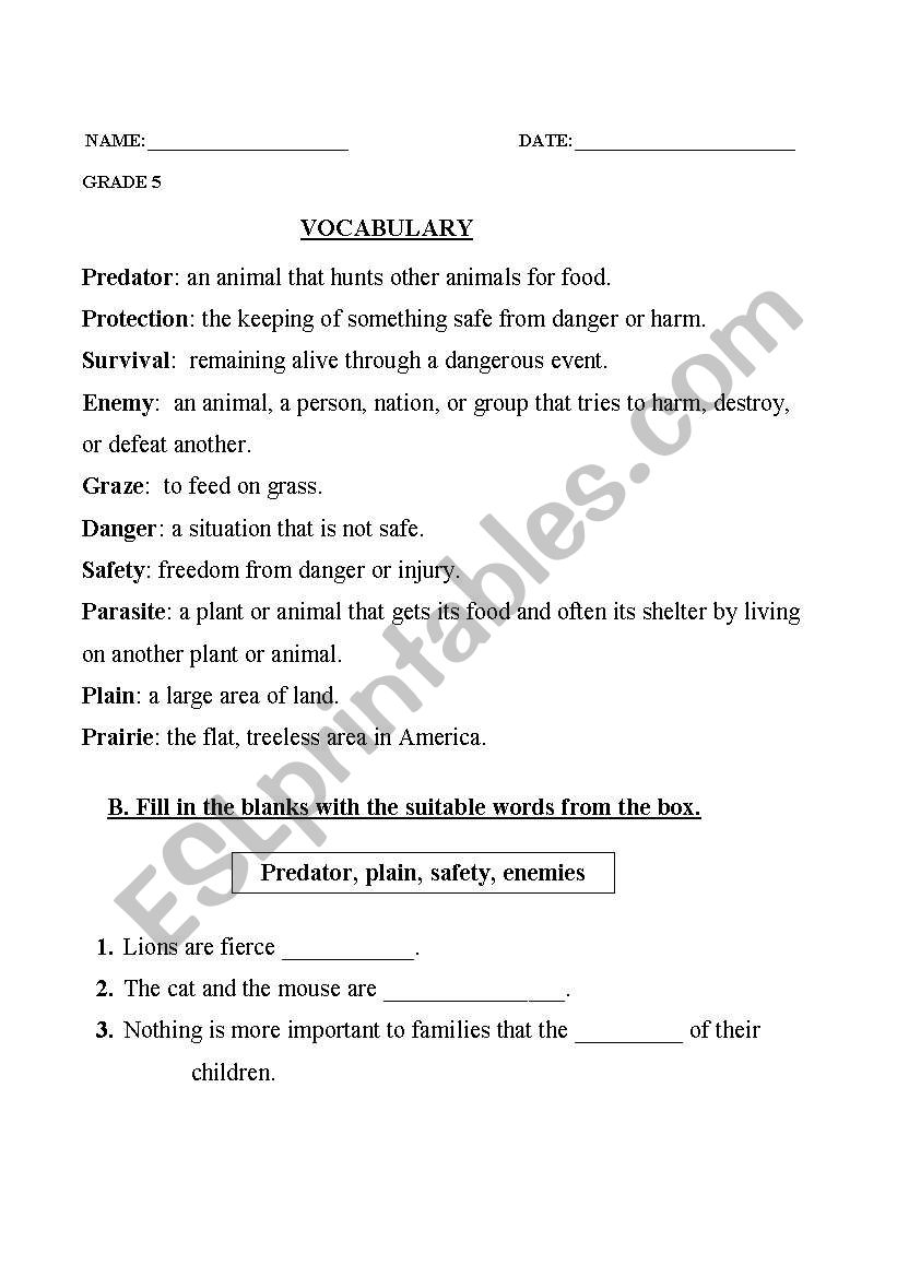 Vocabulary worksheet