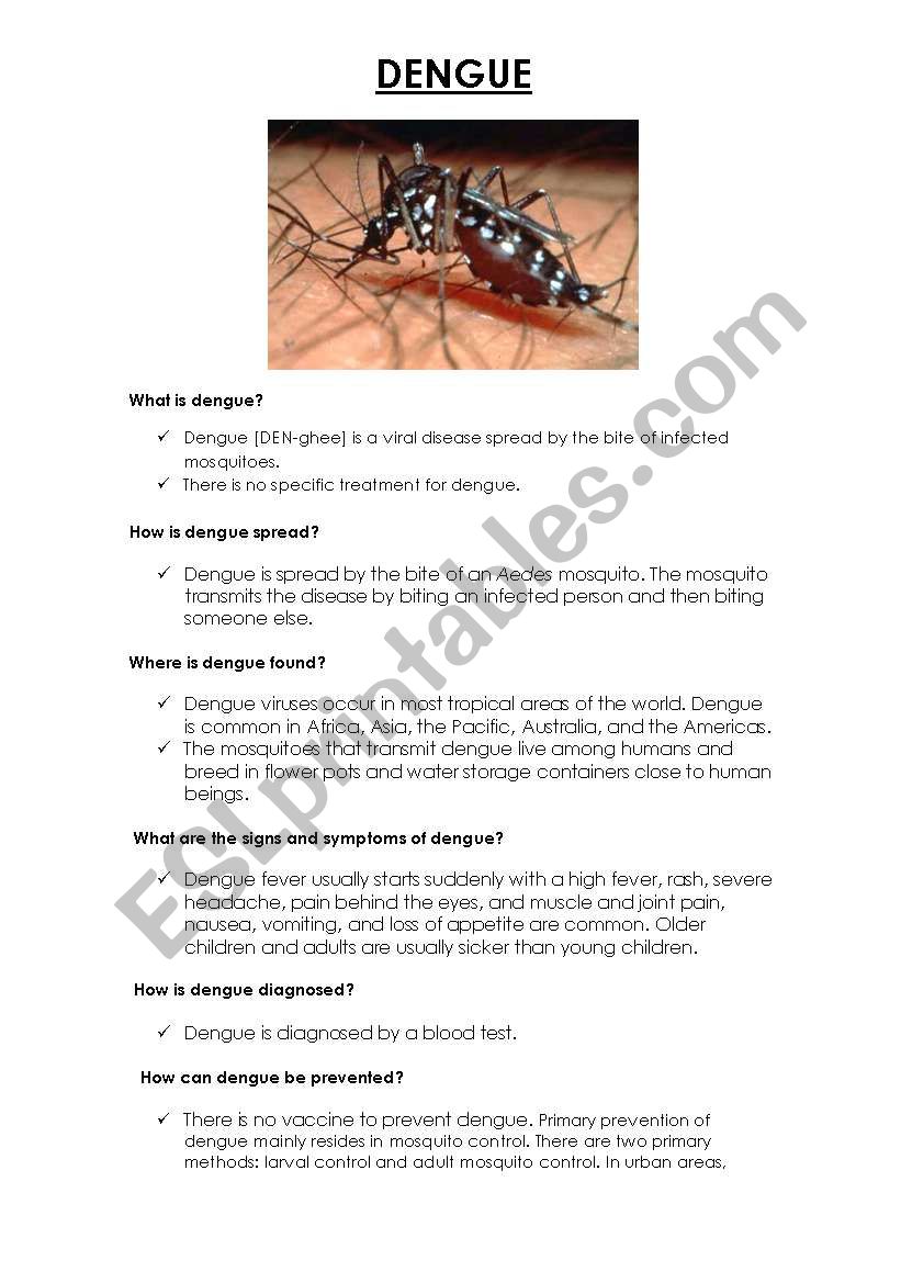 Dengue worksheet