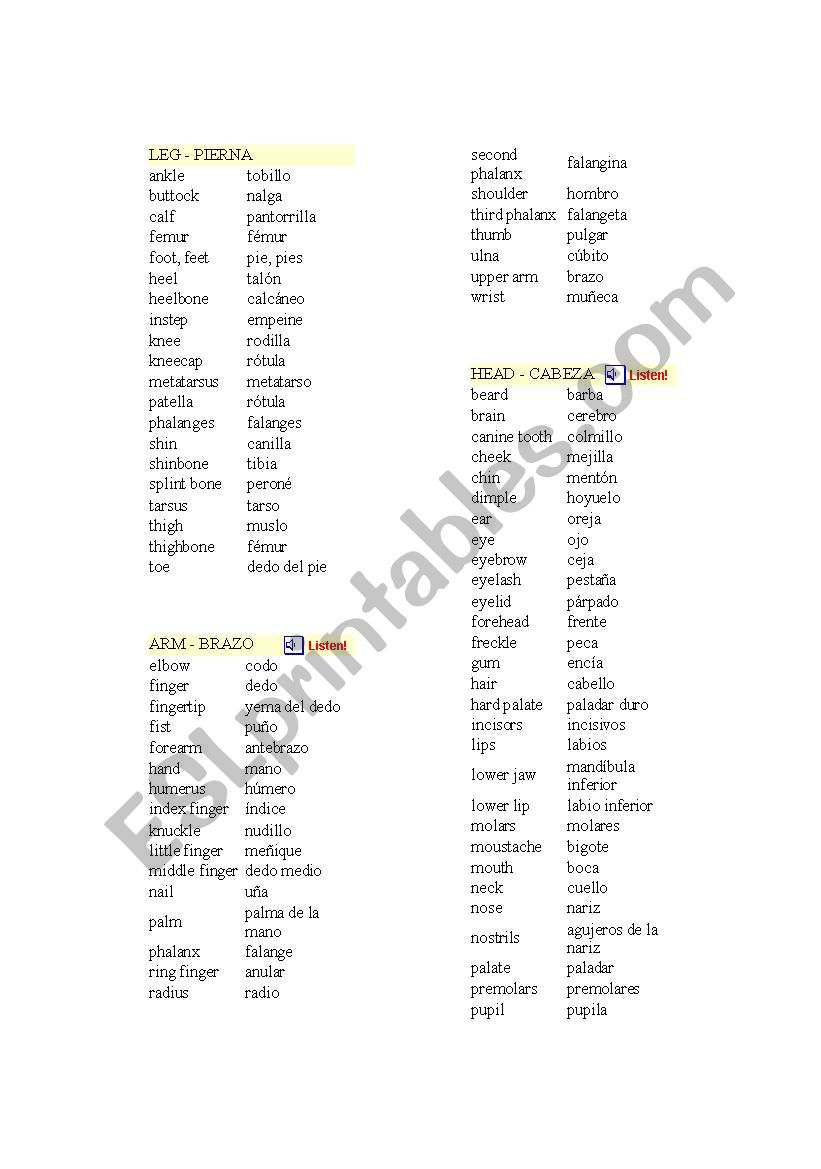 body parts vocabulary worksheet