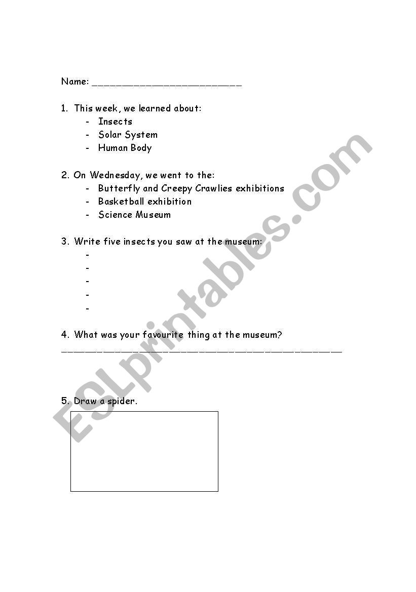 Insect test worksheet