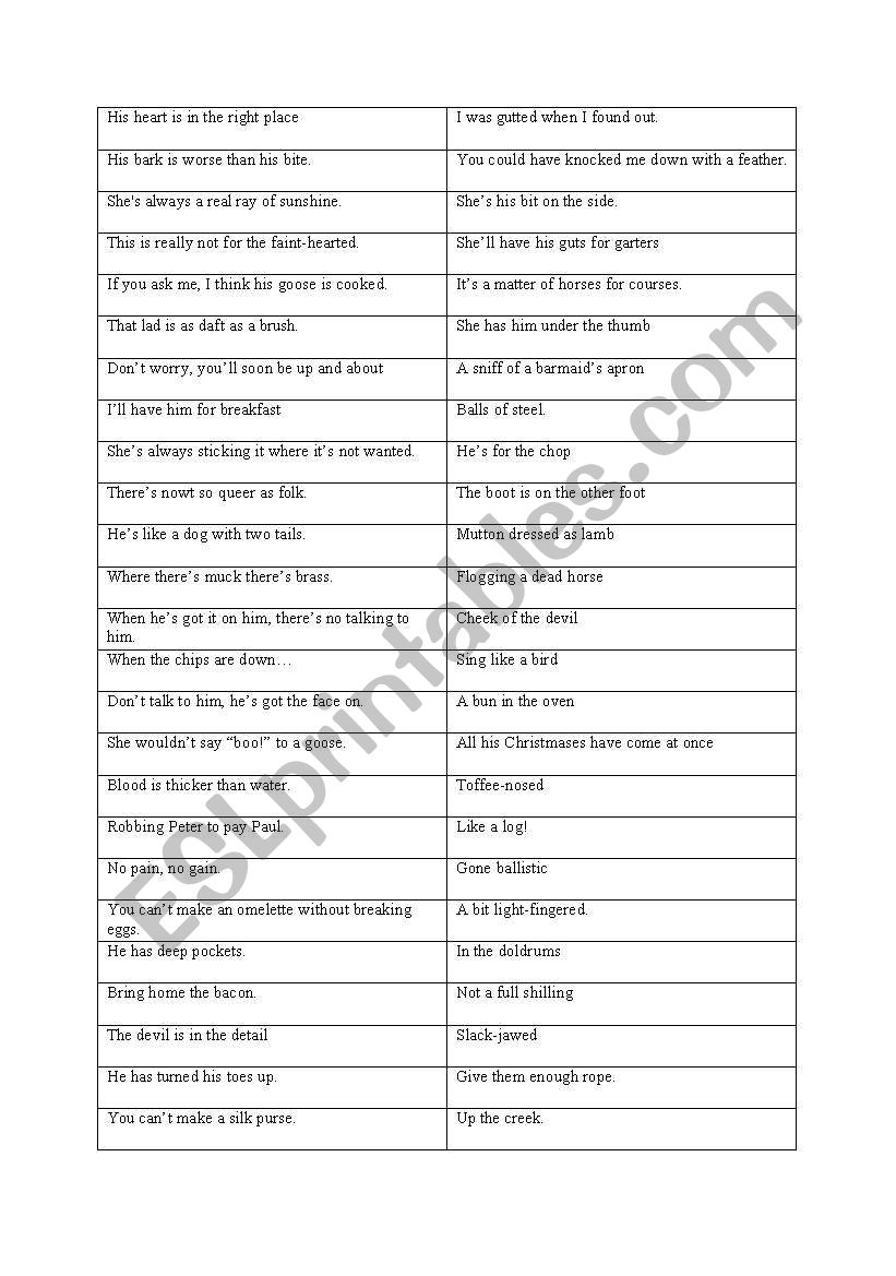 British Colloquial Terms worksheet