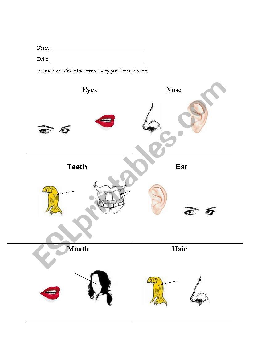 Parts of the face test worksheet