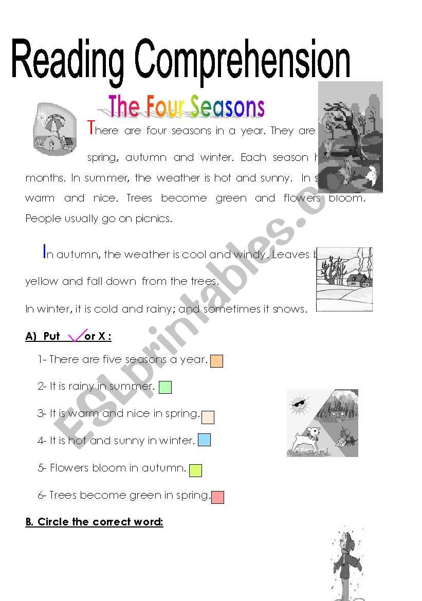 Seasons worksheet