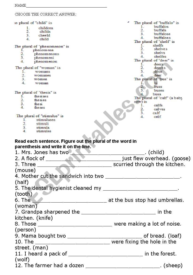 QUIZ, THE PLURALS worksheet