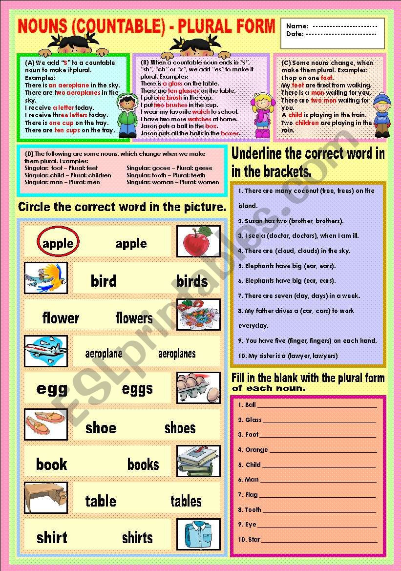 Nouns countable Plural Form ESL Worksheet By Ayrin