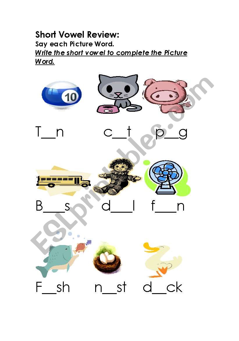 English worksheets: Short Vowel Practice