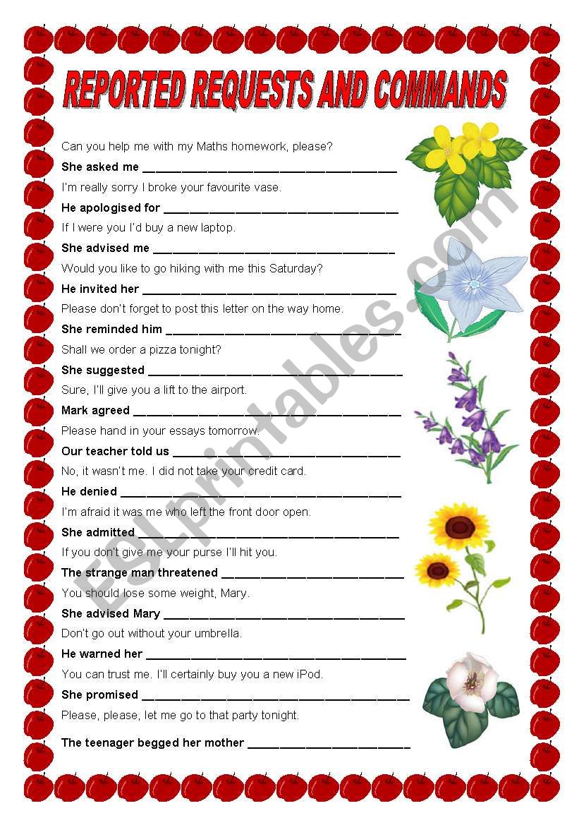 reported speech orders and suggestions exercises pdf