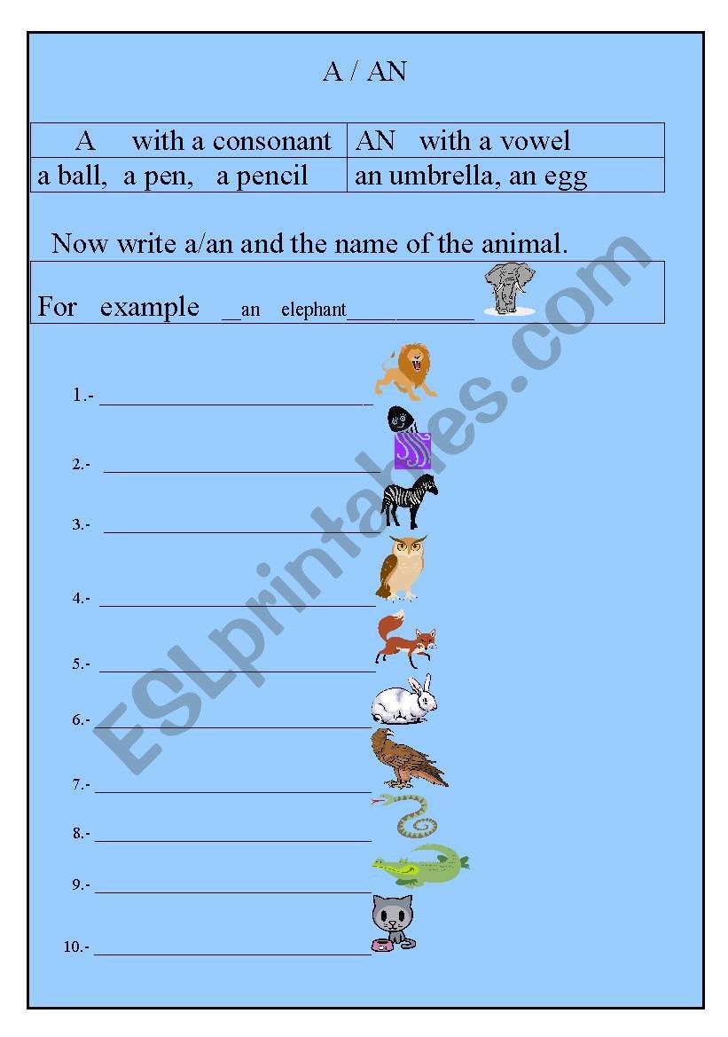 A  -  AN worksheet